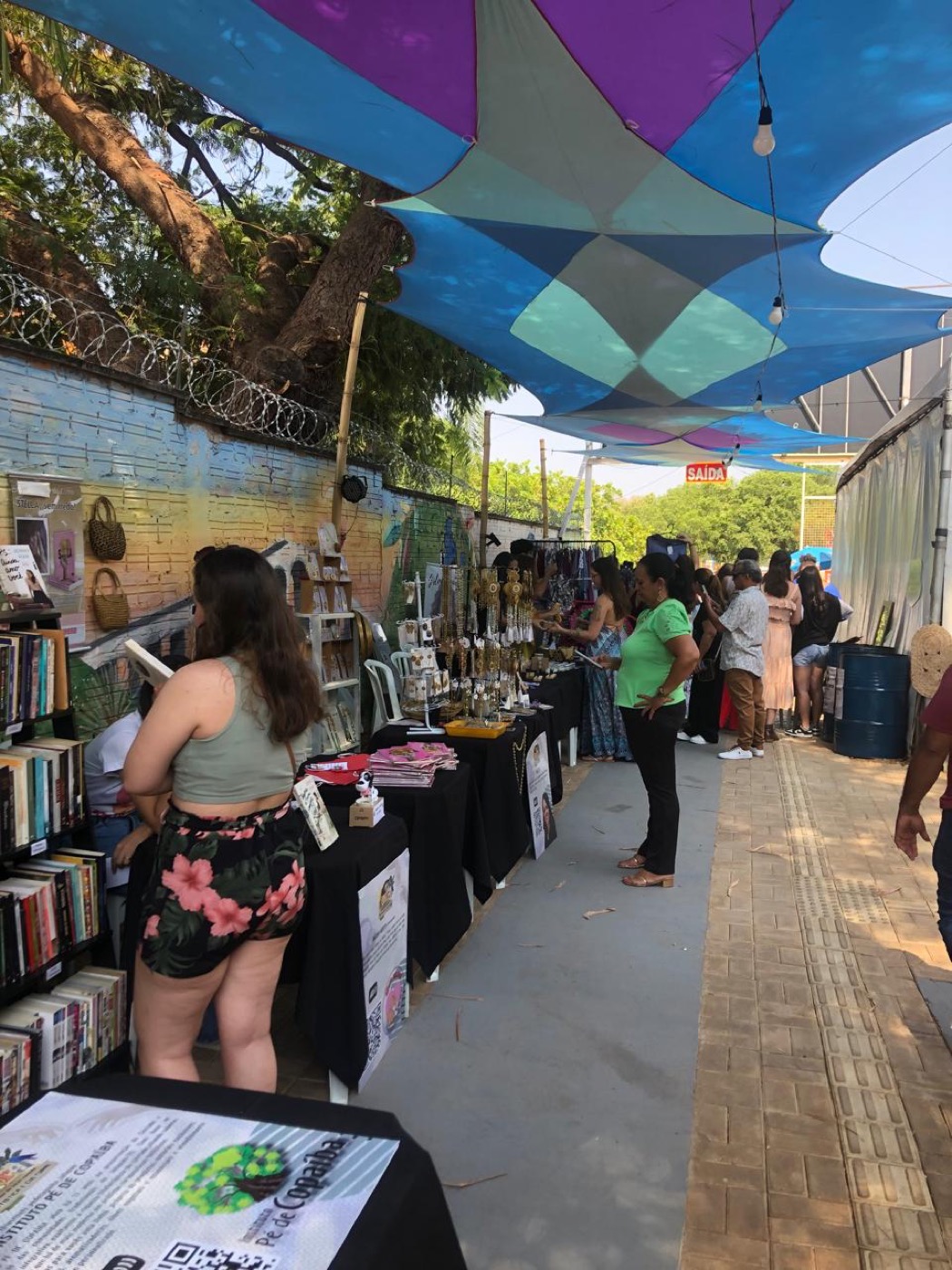 Feira Palmense de Intervenção Artística e Cultural