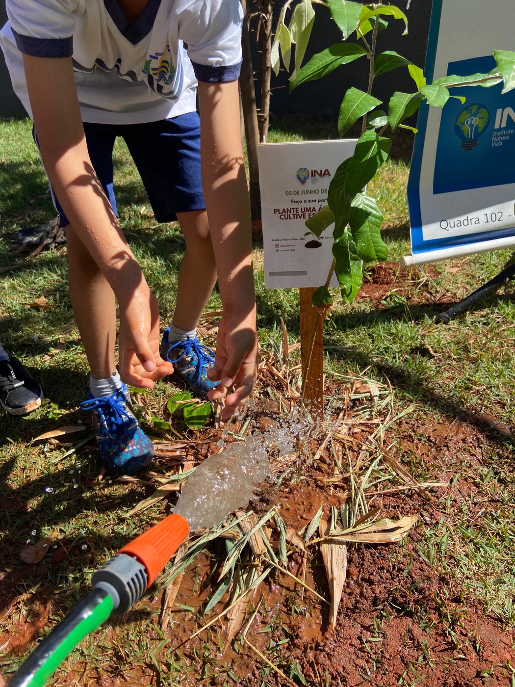 Plantio de muda no projeto Plantando Sustentabilidade